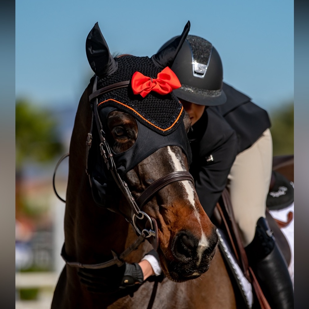 Equifit and Equstar custom horse bonnet and boots - Picture 9 of 9